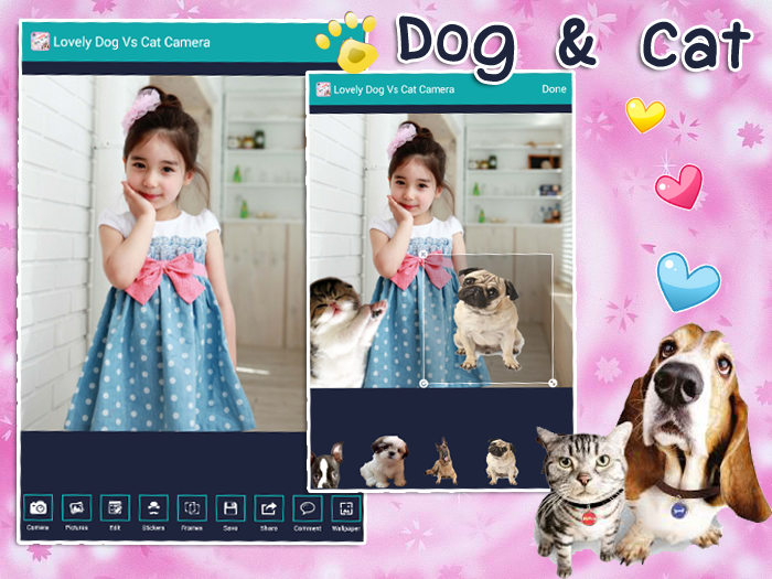 可爱的狗VS猫相机截图2