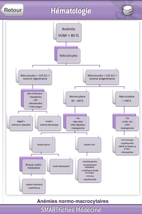 SMARTfiches Hématologie Free截图7