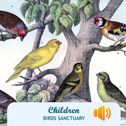 Children Birds Sanctuary截图2