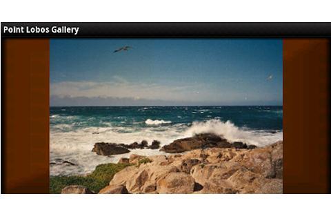 Point Lobos Gallery截图4