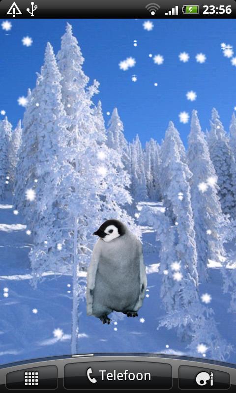 Emperor Penguin Sticker截图3