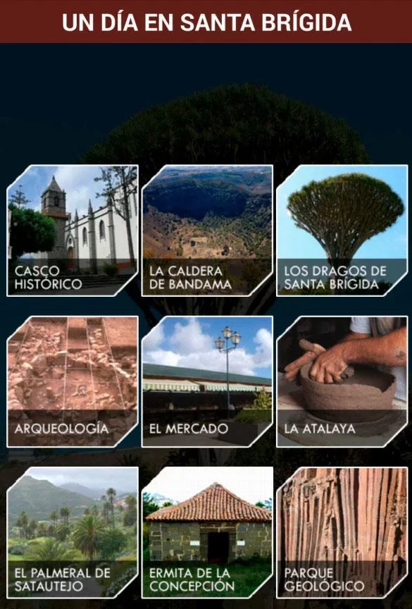 Senderos de Santa Brígida截图5