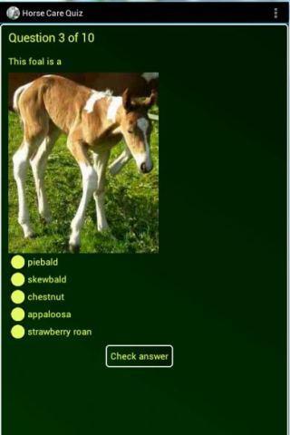 FREE Essential Horse Care Quiz截图1