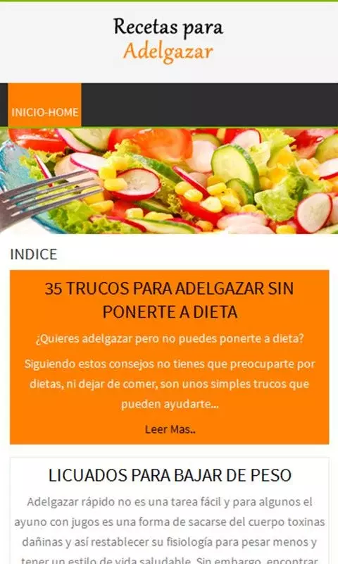 Recetas para Adelgazar Fácil截图1