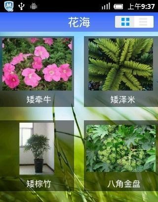 花海截图2