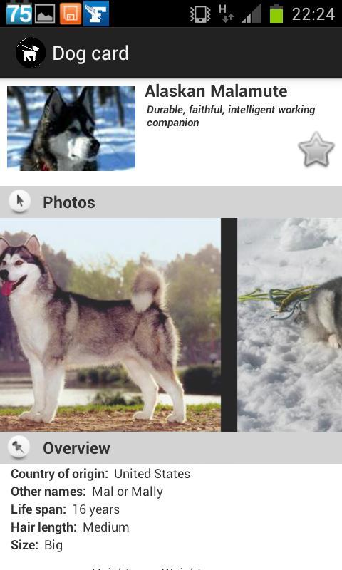 Dogs Breeds FREE截图3