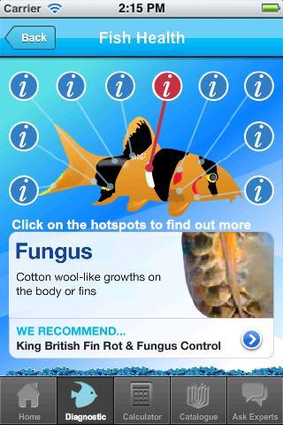 King British Fish Aid截图2