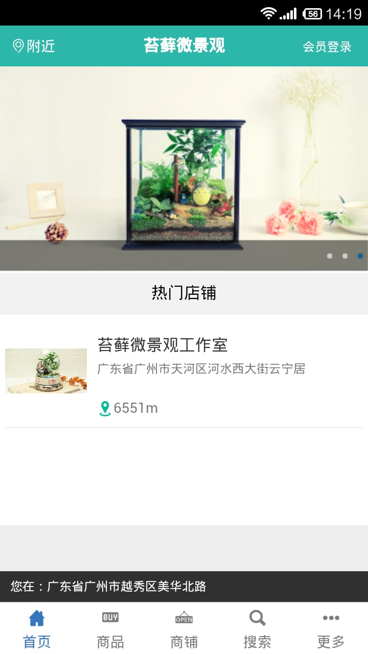 苔藓微景观截图2