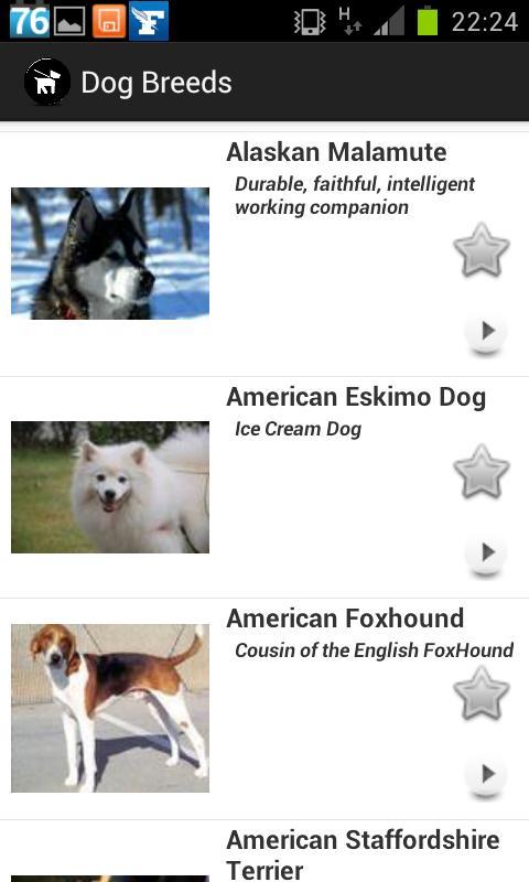 Dogs Breeds FREE截图2