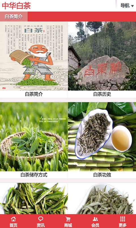 中华白茶截图2