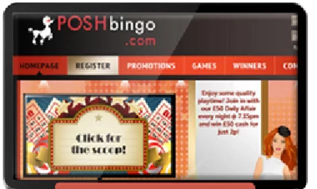 The posh of bingo’s截图2