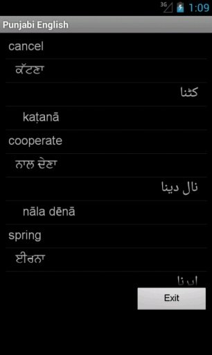 English Punjabi Tutor截图3