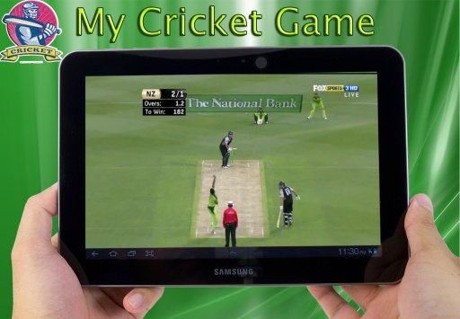 My Cricket Game截图3