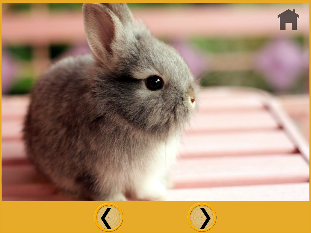 可爱的兔子儿童截图7