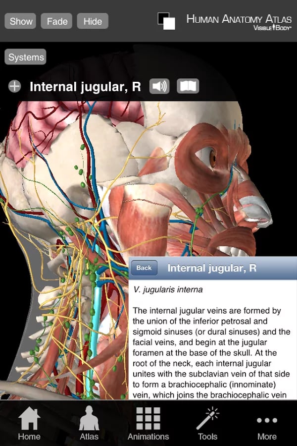 Human Anatomy Atlas (Org...截图3