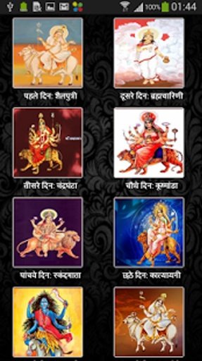 Navratri Poojan Durga Sangrah截图4