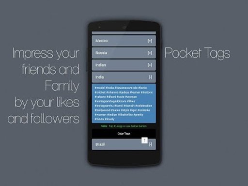 PocketTags - Instagram的标签截图3