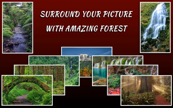 Forest Frames for Photos截图2