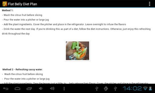 Flat Belly Diet Plan截图3