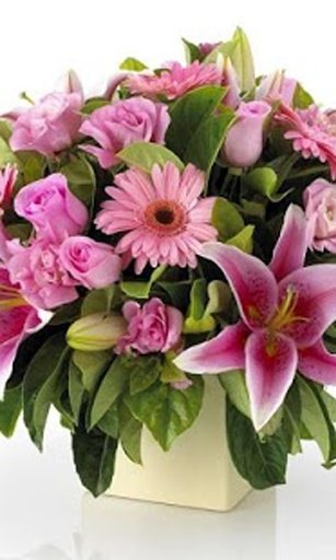 Flower Arrangement Classes截图7