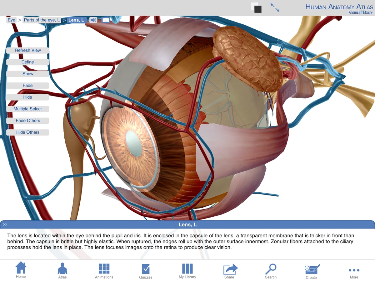 Human Anatomy Atlas (Org...截图2