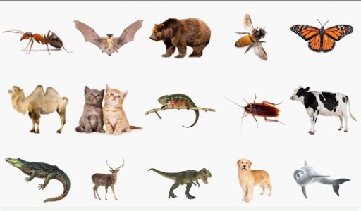 Animal Zone: Kids Learn Animal截图10