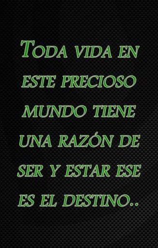 frases del destino截图4