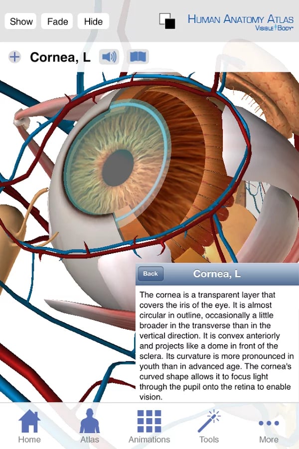 Human Anatomy Atlas (Org...截图6