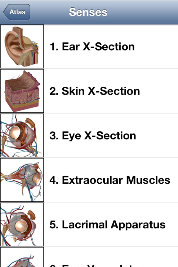 Human Anatomy Atlas (Org...截图4