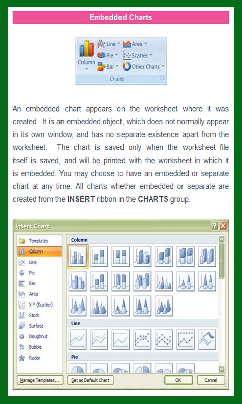 MS Excel 2007 Advance 2截图1