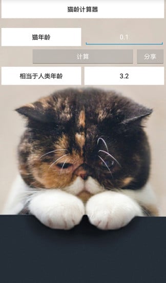 猫龄计算器截图3