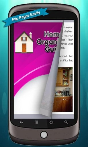 Home Organizing Guide截图1