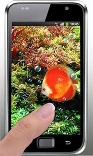 Coral Reef Photo Fishing LWP截图3