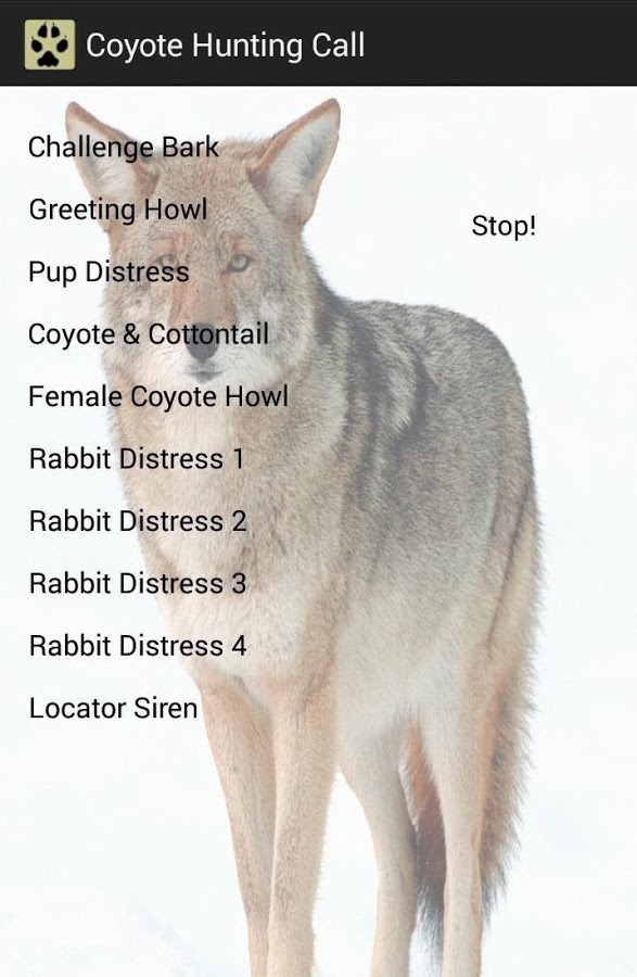 Coyote Hunting Call截图4