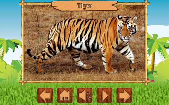 Kids Zoo Free截图2