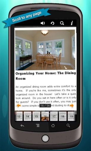 Home Organizing Guide截图2