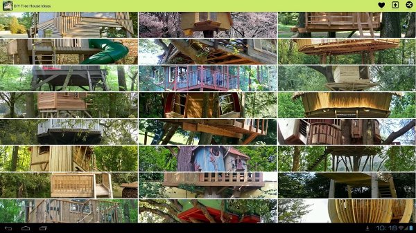 DIY Tree House Ideas截图1