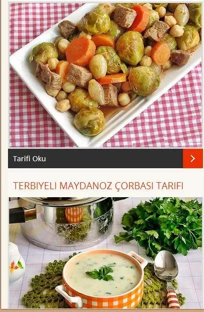 Yüzlerce Yemek tarifleri截图4