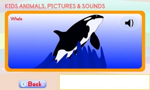 Kids Animals Pictures and Sounds截图2