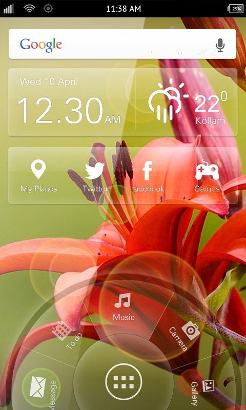 Xperia Z Red Flowers截图2