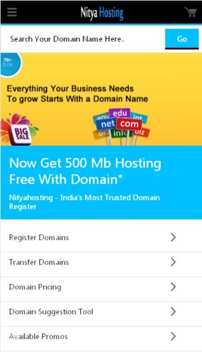 Domains &amp; Hosting-NityaHosting截图1