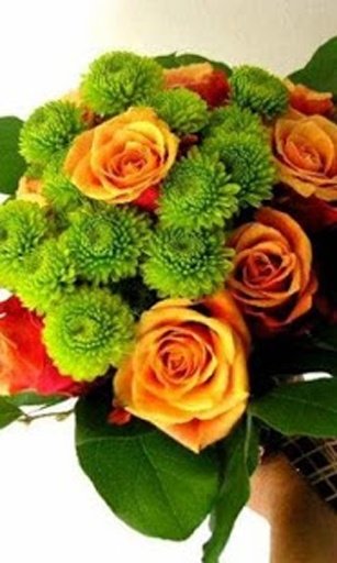 Flower Arrangement Classes截图4