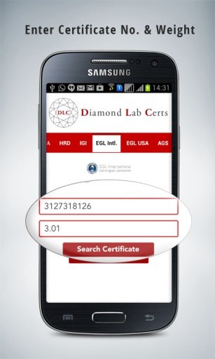 Diamond Lab Certs Free截图1