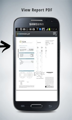 Diamond Lab Certs Free截图3