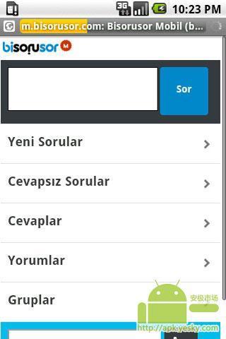 Bisorusor.com移动截图2