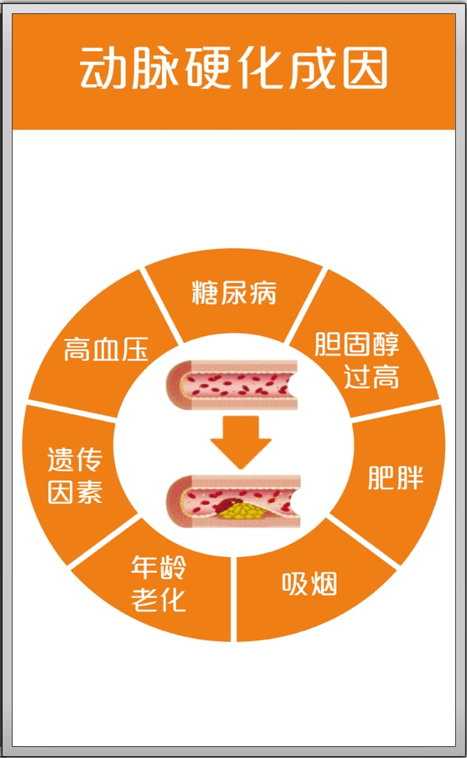 血管大师截图3