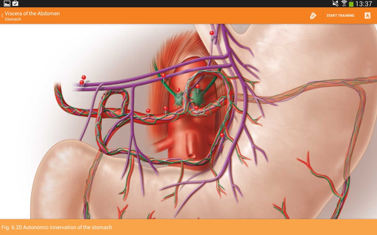 Sobotta Anatomy Atlas LI...截图7