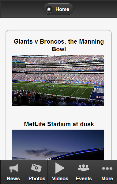 New York G. Football Fan截图4