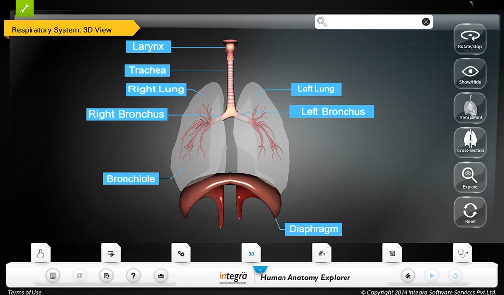 Human Anatomy Explorer截图3