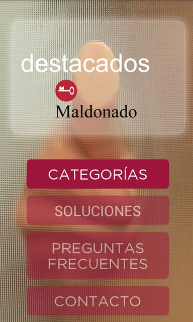 Seguridad Maldonado截图4